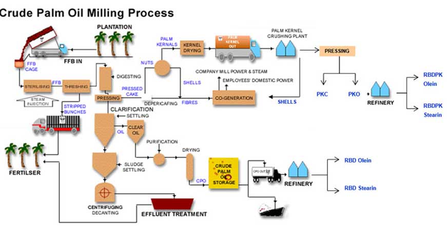Planta de procesamiento de aceite de palma a pequeña escala flow chart
