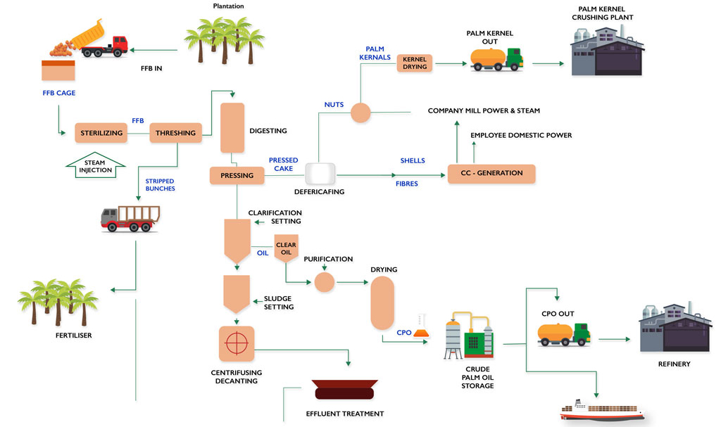 Línea de producción de aceite de palma flow chart