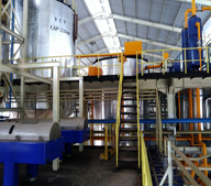 solución de producción de aceite de palma