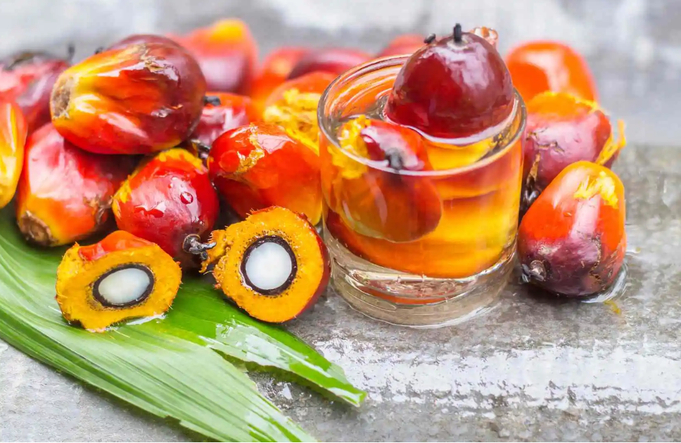 ¿Cómo se hace el aceite de palma?